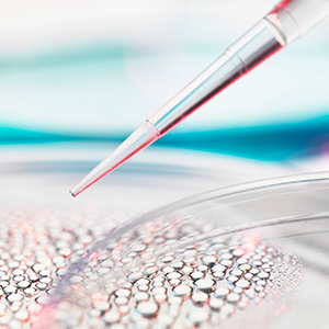 實(shí)驗(yàn)室分析7