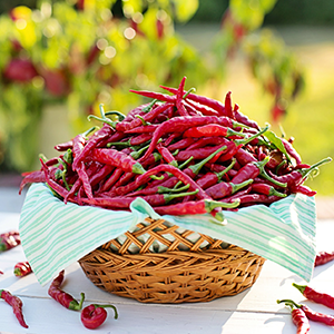 辣椒怎么評選辣味等級？當(dāng)然用HPLC來測啦！