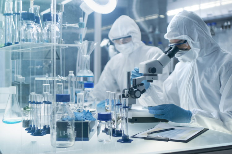 藥品質(zhì)量標(biāo)準(zhǔn)體系！