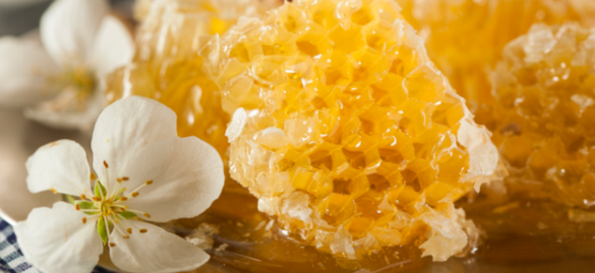 微信圖片_20250515174424