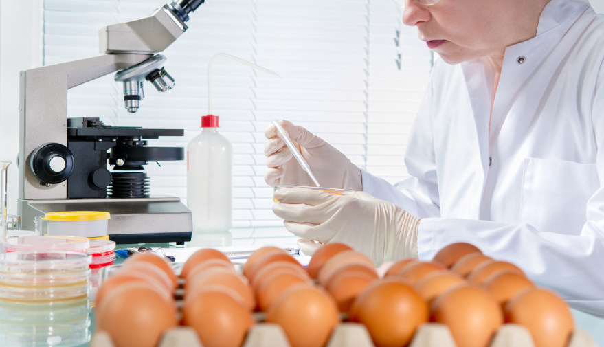 微信圖片_20250213135616