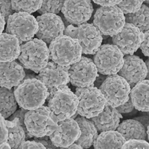 恒譜生色譜填料